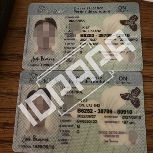 scannable id card in Ontario